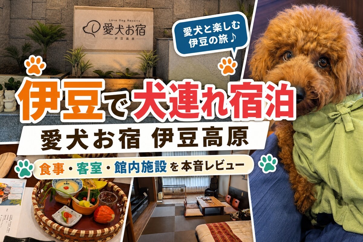 伊豆高原の愛犬お宿で犬連れ宿泊し、食事・客室・館内施設を紹介するアイキャッチ