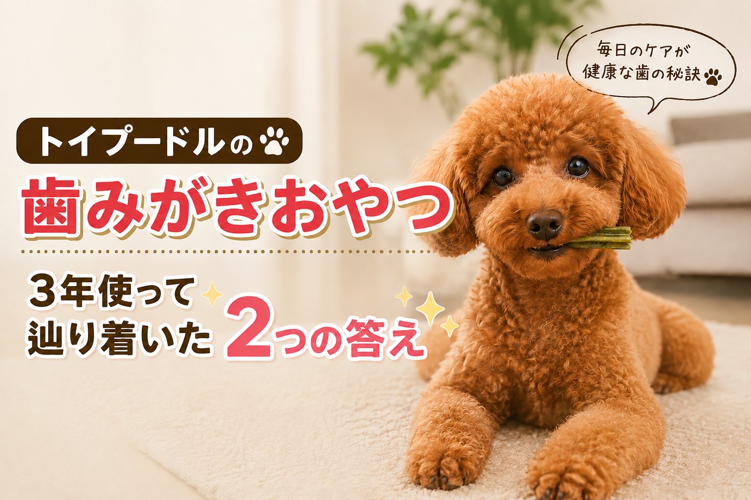 トイプードルの歯みがきおやつ