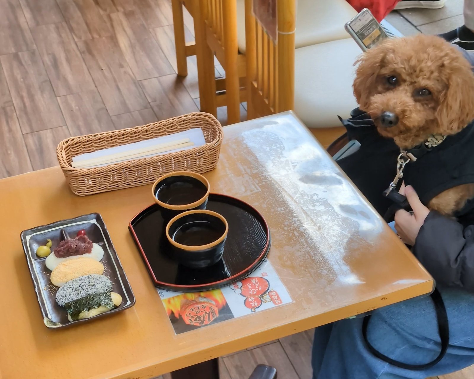 権現からめもちのテラス席で愛犬と4色もちを楽しむ様子
