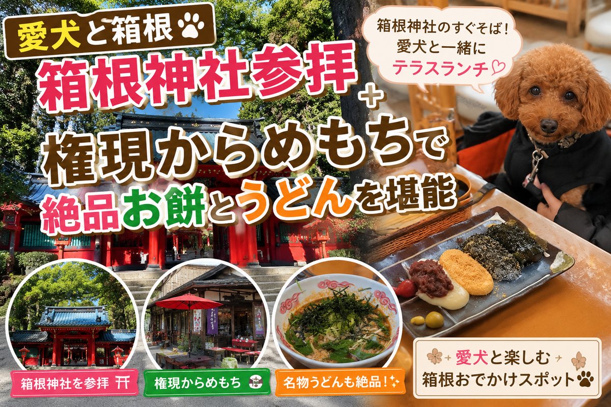 愛犬と箱根神社参拝、権現からめもちでお餅とうどんを楽しむサムネイル