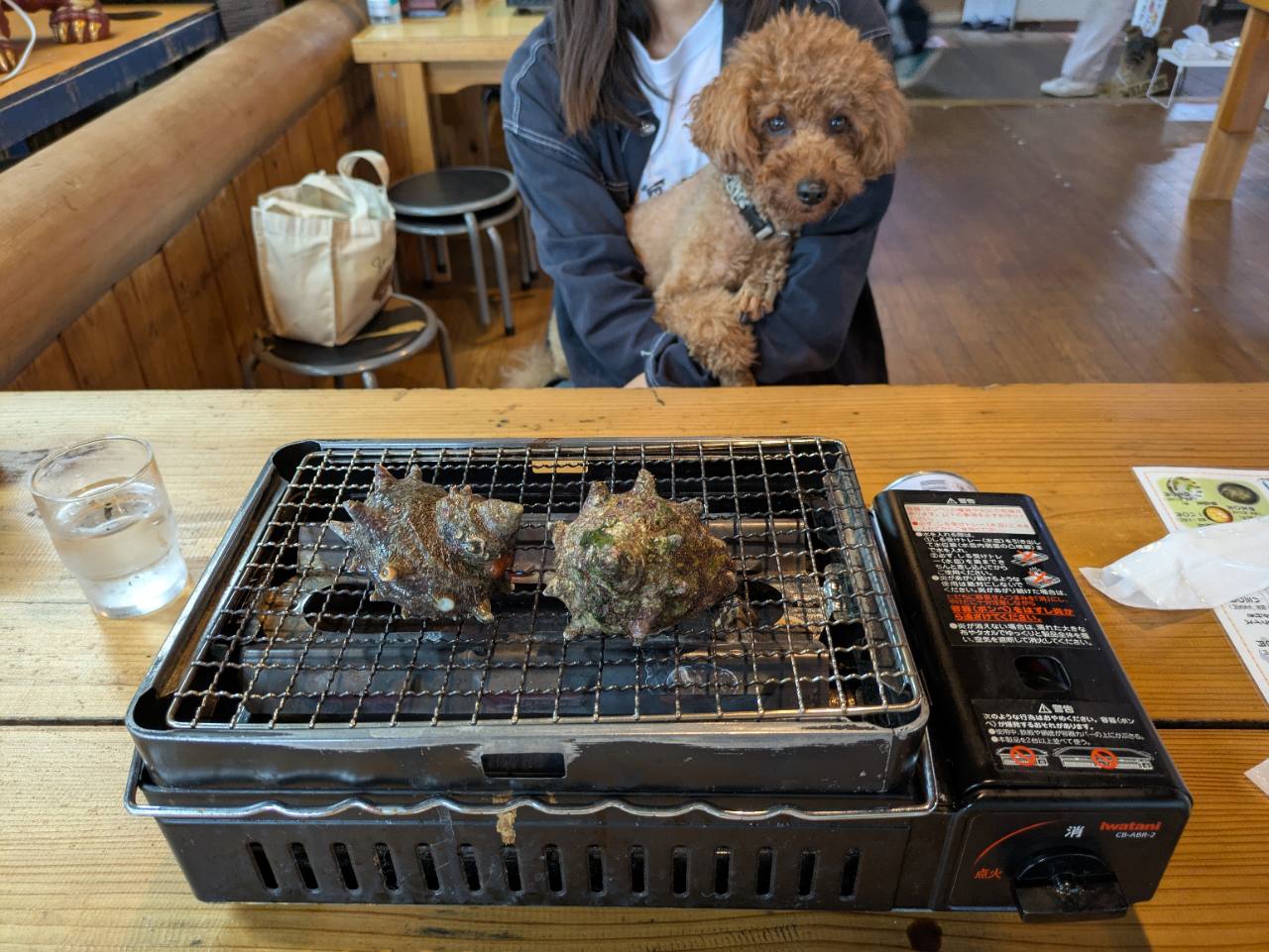 浜茶屋 網元の席で抱っこされる愛犬と、網の上に並んだサザエ2個