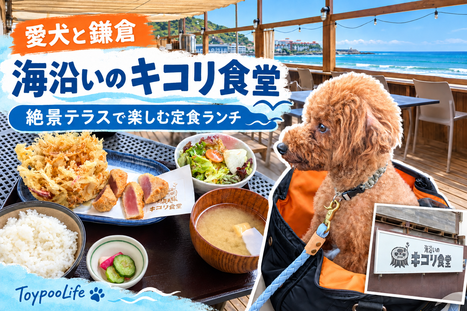 愛犬と鎌倉 海沿いの キコリ食堂 絶景テラスで楽しむ定食ランチ