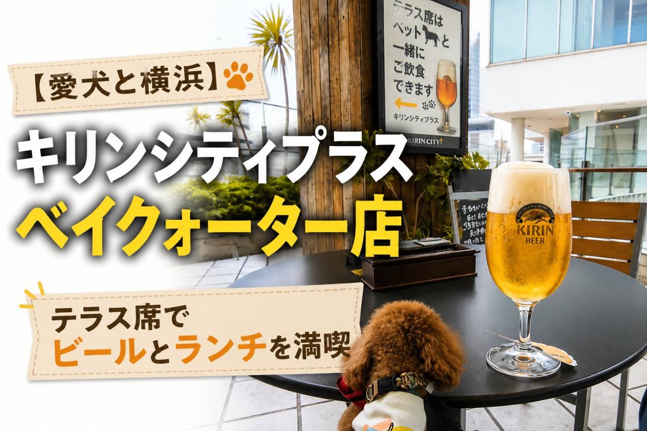 愛犬と横浜のキリンシティプラス ベイクォーター店を紹介するサムネイル