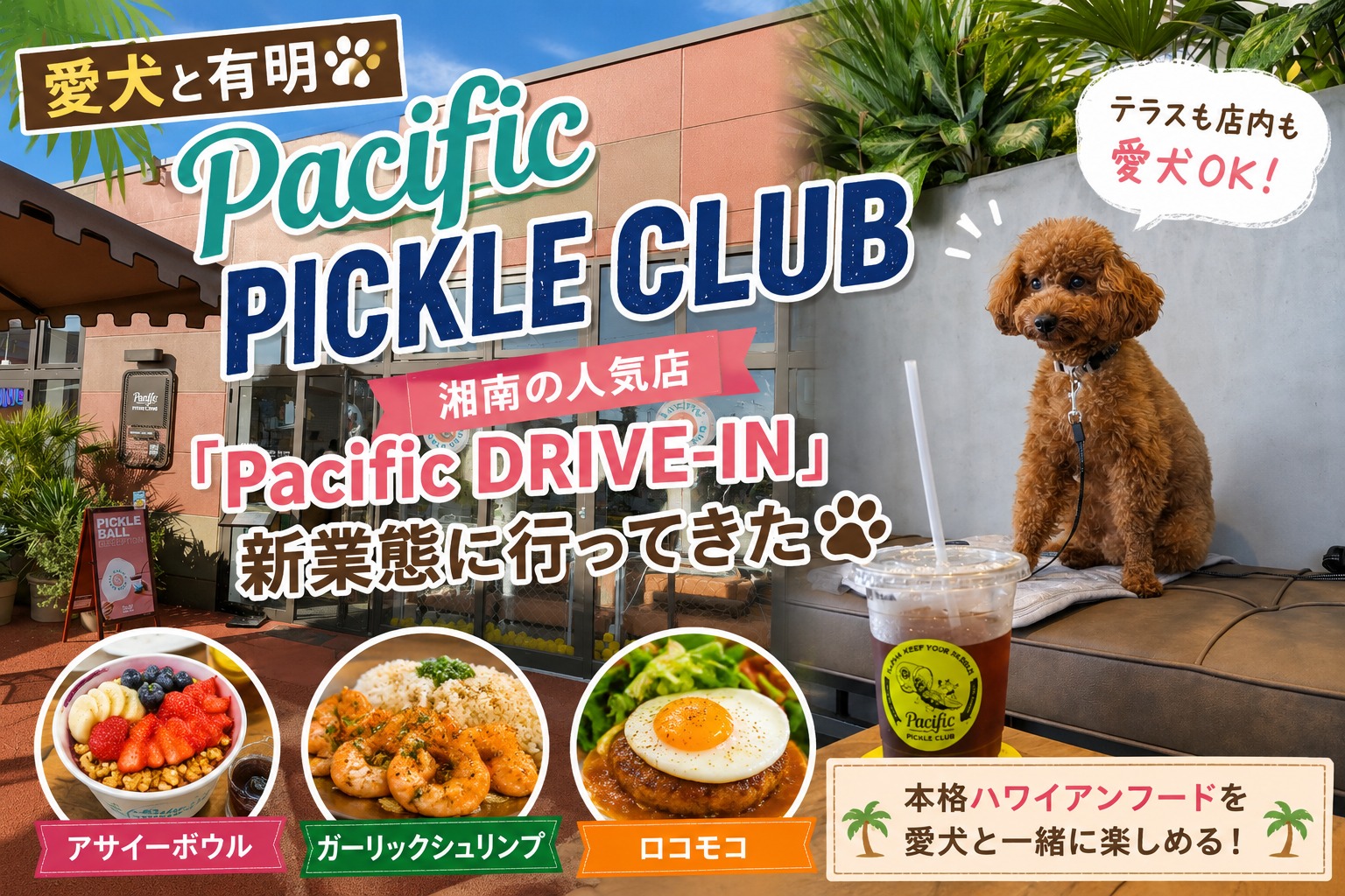 Pacific PICKLE CLUB 有明のテラス席と愛犬