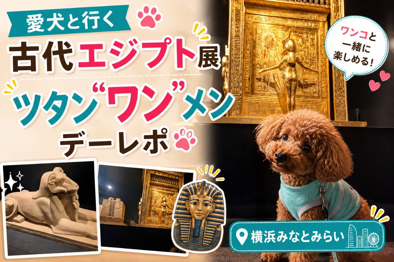 【愛犬と行く古代エジプト展】ツタン"ワン"メンデーレポ｜横浜みなとみらい