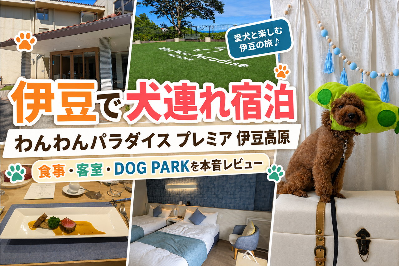 伊豆で愛犬とわんわんパラダイス プレミア 伊豆高原に宿泊し、食事・客室・DOG PARKを紹介するサムネイル