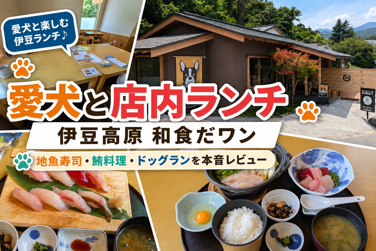 和食だワンの外観・店内と、握り寿司・マグロの小鍋付き御膳を紹介するアイキャッチ